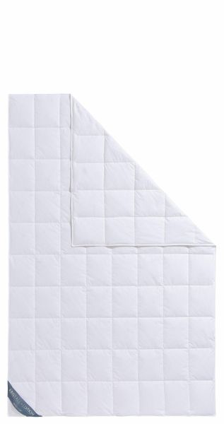 Haeussling Daunenbettdecke + Kopfkissen "Kristall Edition" Spar-Set in vers günstig online kaufen