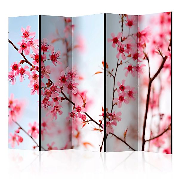 5-teiliges Paravent - Symbol Of Japan - Sakura Flowers Ii [room Dividers] günstig online kaufen