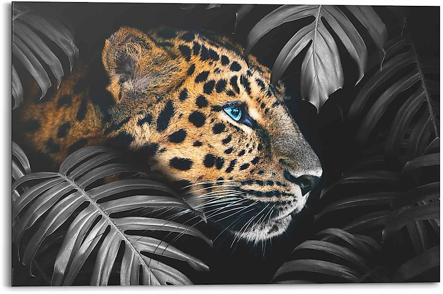 Reinders Wandbild "Wandbild Leopard Jungle - Pflanze - Tiermotiv" Leopard 1 günstig online kaufen