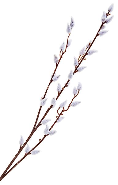 Kunstblume Weidenkätzchen, DPI, 1 Zweig günstig online kaufen