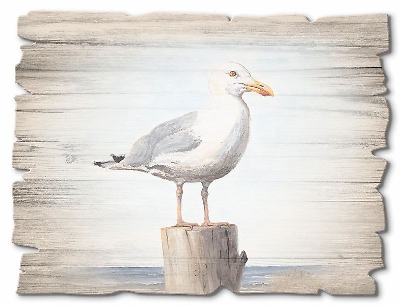 Artland Holzbild "Möwe" Vögel 1 Stk. tlg. günstig online kaufen