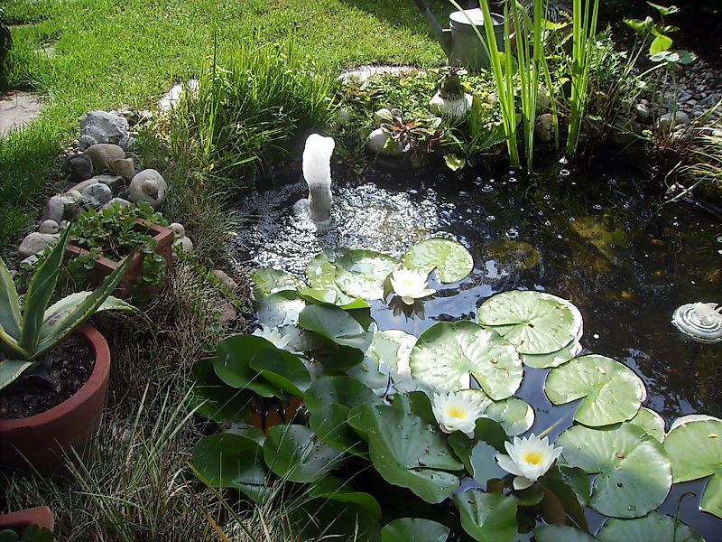Ubbink Fertigteich JUPITER SI - Fertigteich günstig online kaufen