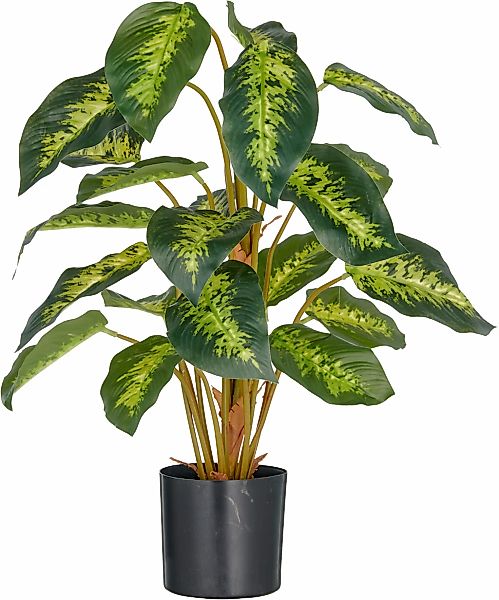 Creativ green Kunstpflanze "Dieffenbachia reeva", mit schönem Blattwerk günstig online kaufen