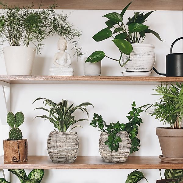 relaxdays Blumentopf Eckiger Blumentopf im 2er günstig online kaufen