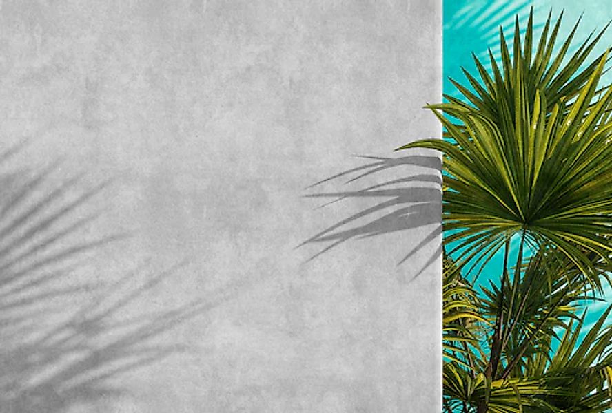 living walls Fototapete »Walls by Patel Tunis« glatt Vlies, Wand günstig online kaufen
