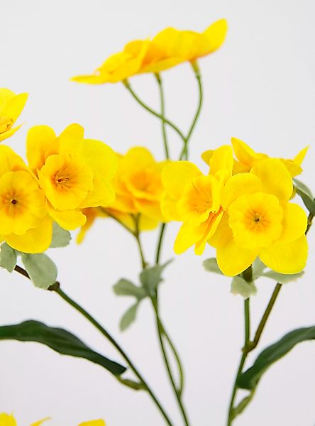 I.GE.A. Kunstblume "Narzissenzweig", 5er Set Narzisse künstliche Blume Oste günstig online kaufen