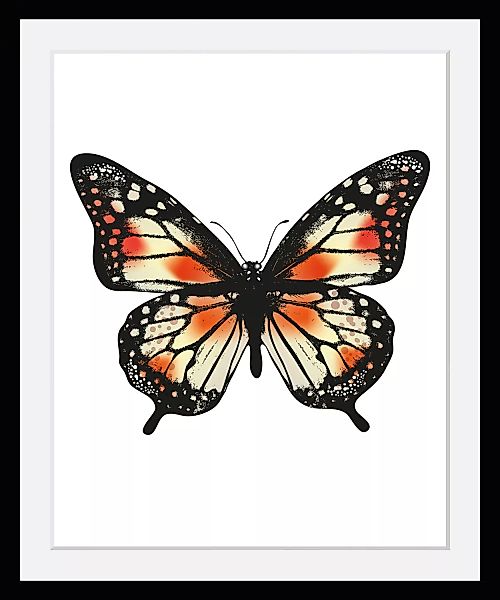 queence Bild "Anastasia", Schmetterlinge, (1 St.) günstig online kaufen