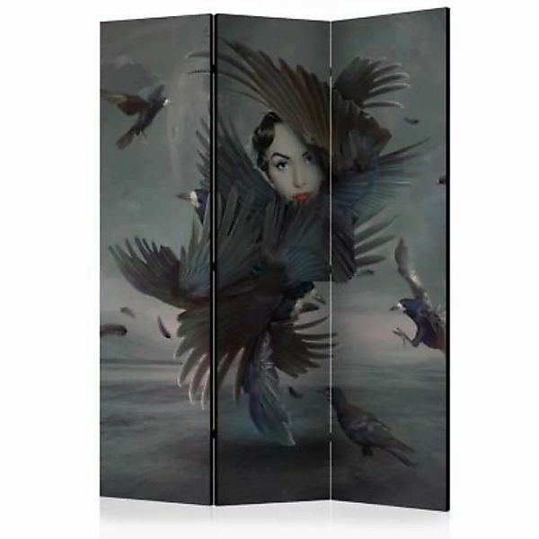 artgeist Paravent Covered in feathers [Room Dividers] graublau Gr. 135 x 17 günstig online kaufen