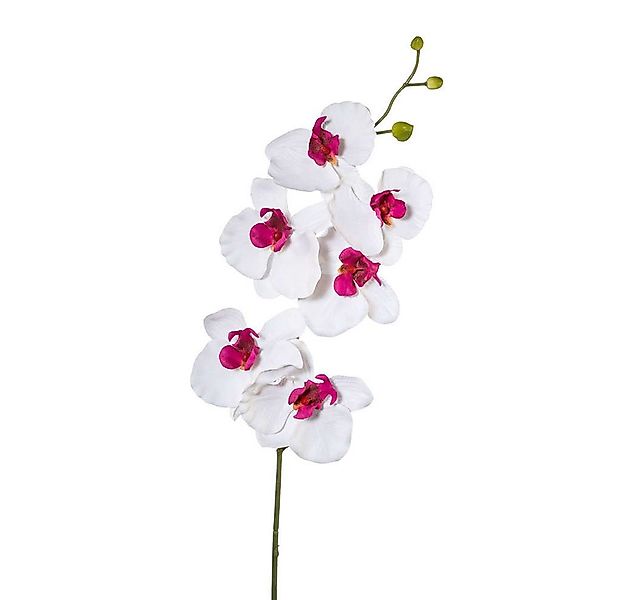 Kunstorchidee Kunstblume Phalaenopsis, künstlicher Orchideen-Zweig 76cm, Ga günstig online kaufen