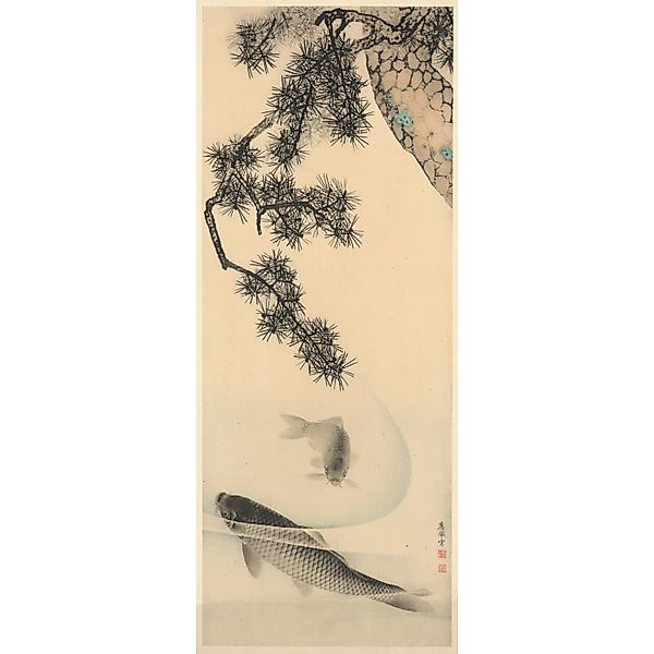 Komar Fototapete Vlies Koi 100 x 250 cm  100 x 250 cm günstig online kaufen