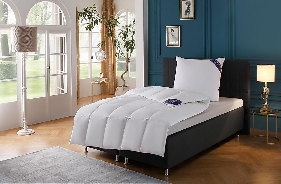 Excellent Daunenbettdecke + Federkissen Bettdecken-Set Zürich, günstig online kaufen