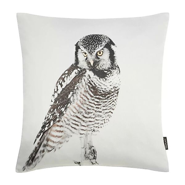 home24 Proflax Kissenbezug Owl Wollweiß/Grau 40x40 cm (BxH) mit Motiv Baumw günstig online kaufen