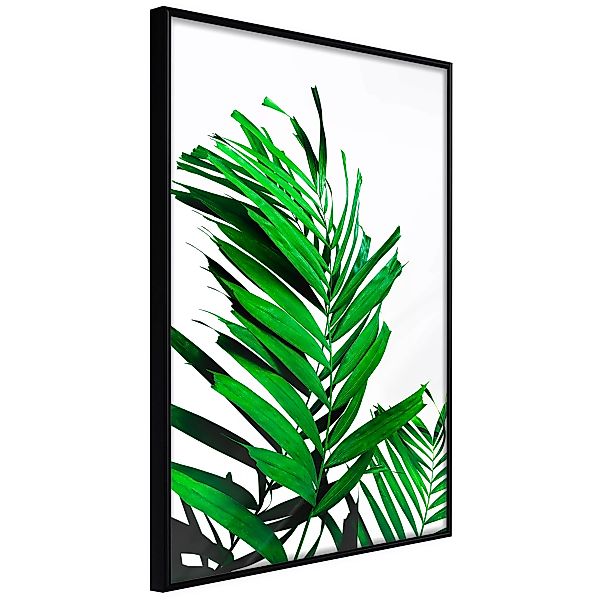 Poster - Emerald Palm günstig online kaufen