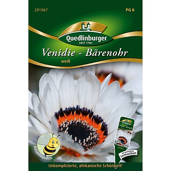 Quedlinburger Venidie Bärenohr Weiß günstig online kaufen