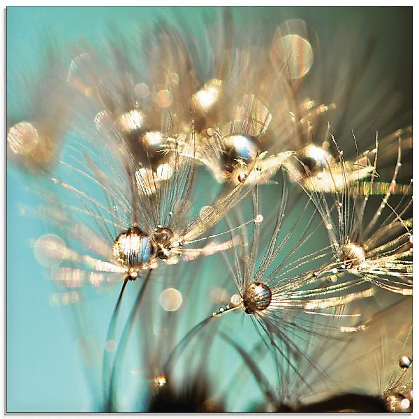 Artland Glasbild "Pusteblume glänzendes Gold" Blumen 1 Stk. tlg. in verschi günstig online kaufen