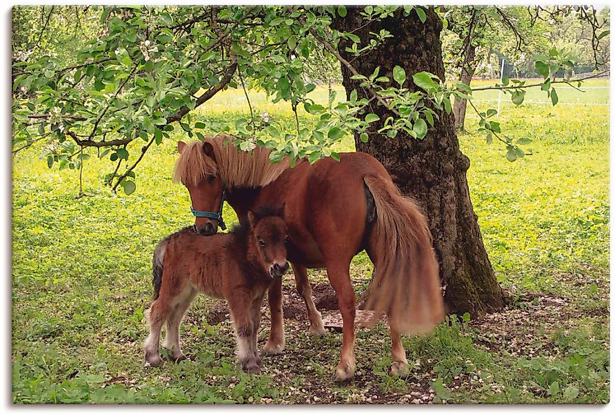 Artland Wandbild "Pony - Mutterglück" Haustiere 1 Stk. tlg. als Leinwandbil günstig online kaufen