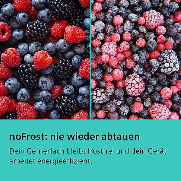 SIEMENS Kühl-/Gefrierkombination iQ700 "KG49NSBBF" 203 cm hoch 70 cm breit günstig online kaufen