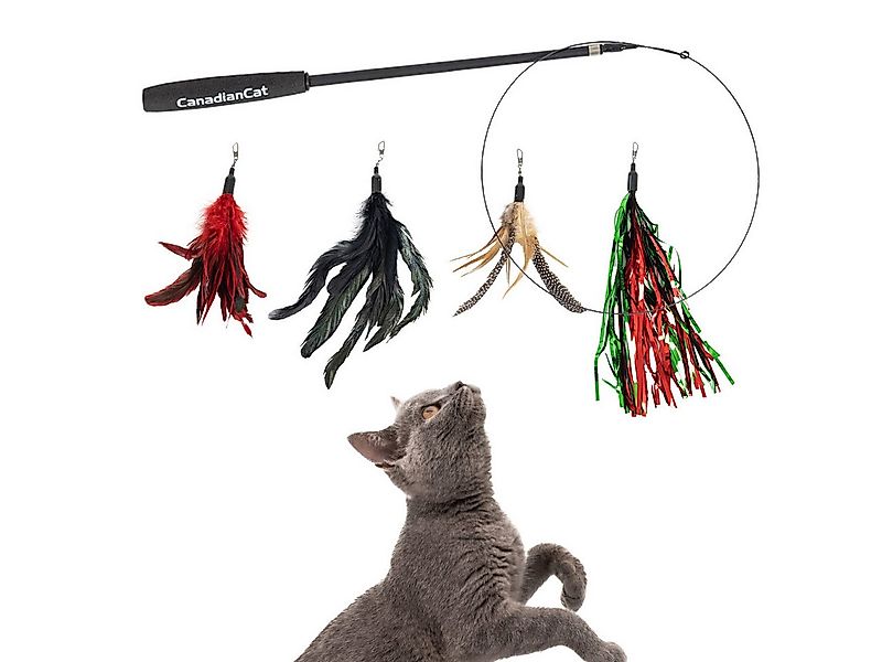 Canadian Cat Company Tier-Intelligenzspielzeug Katzenangel Set mit 4 Federn günstig online kaufen