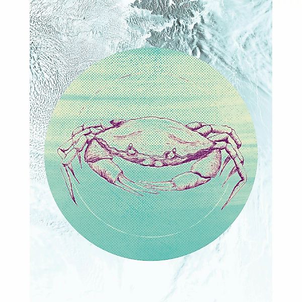 Komar Wandbild Crab Sea 50 x 70 cm günstig online kaufen