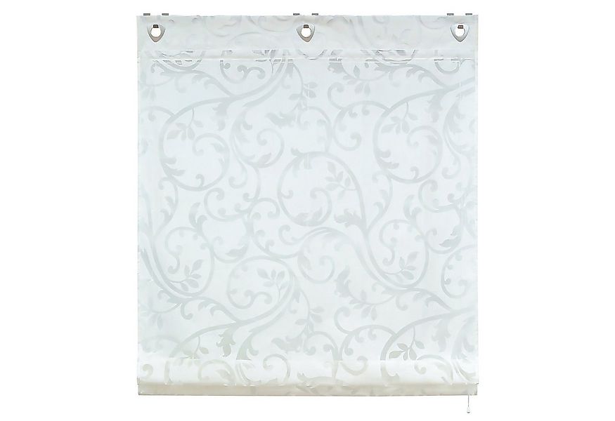 Delien Raffrollo Jessica, mit Hakenaufhängung, Voile Ösenrollo Ausbrenner günstig online kaufen