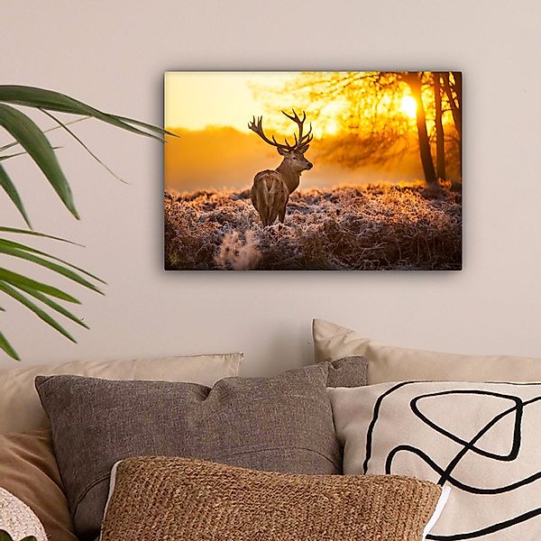 OneMillionCanvasses® Leinwandbild Hirsche - Winter - günstig online kaufen