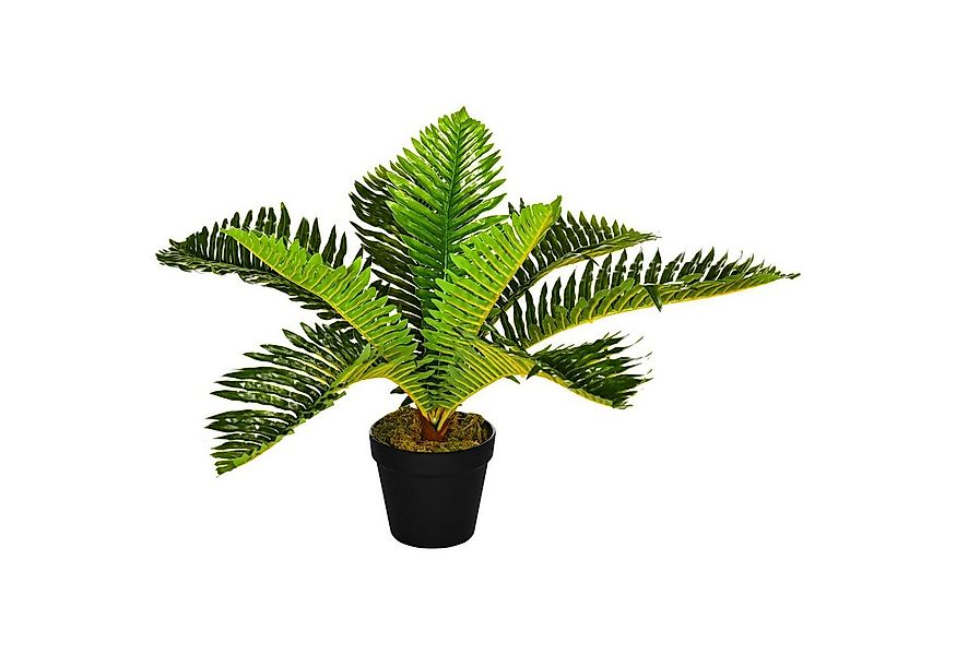 Kunstpflanze Künstliche Pflanze, Palme, HOMCOM, Höhe 50 cm, Grün 12,5 x 12, günstig online kaufen