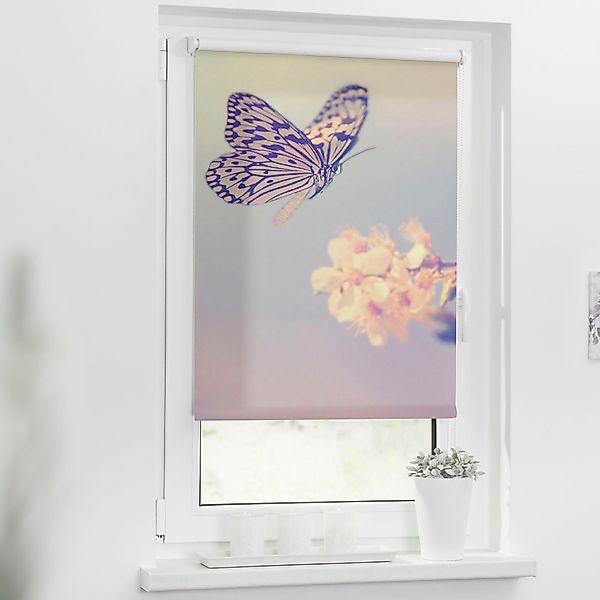 Seitenzugrollo Klemmfix Motiv Schmetterling, LICHTBLICK ORIGINAL, günstig online kaufen