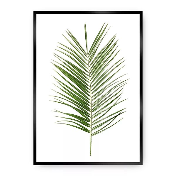 Poster Palm Leaf Green, 30 x 40 cm, Rahmen wählen: schwarz günstig online kaufen