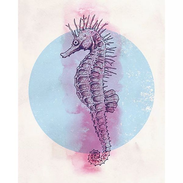 Komar Wandbild Sea Horse Circle Tiere B/L: ca. 40x50 cm günstig online kaufen