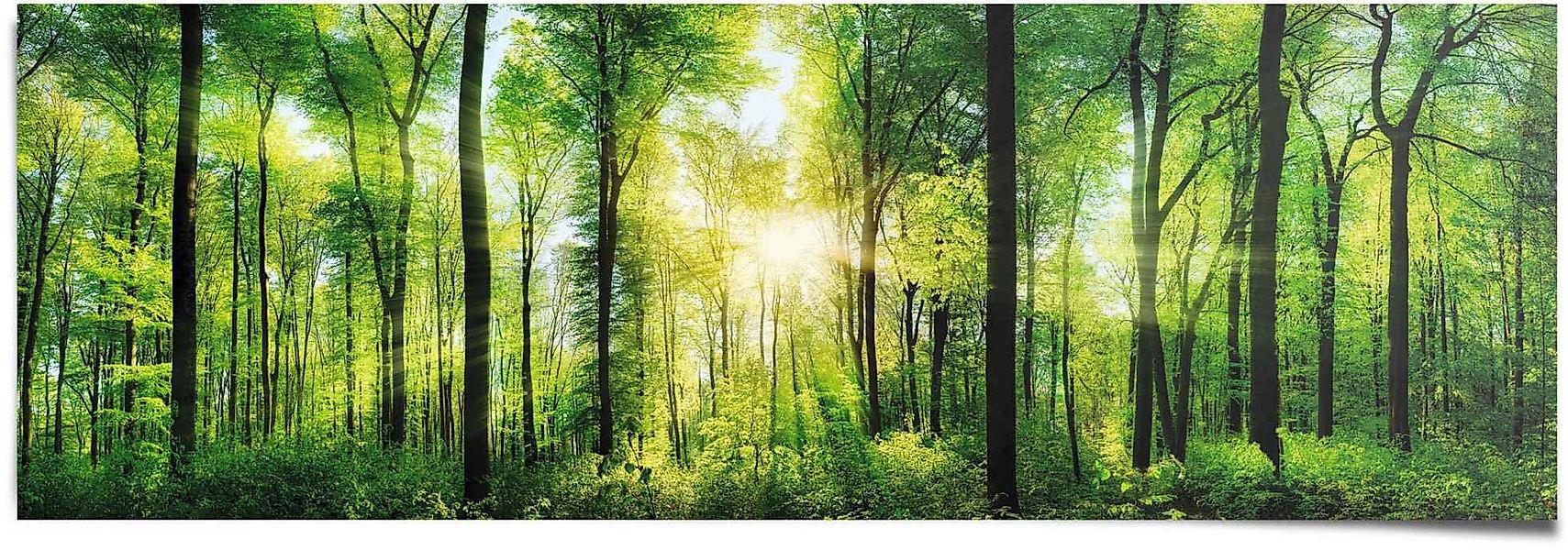 Reinders! Poster Sommerwald, (1 St) günstig online kaufen