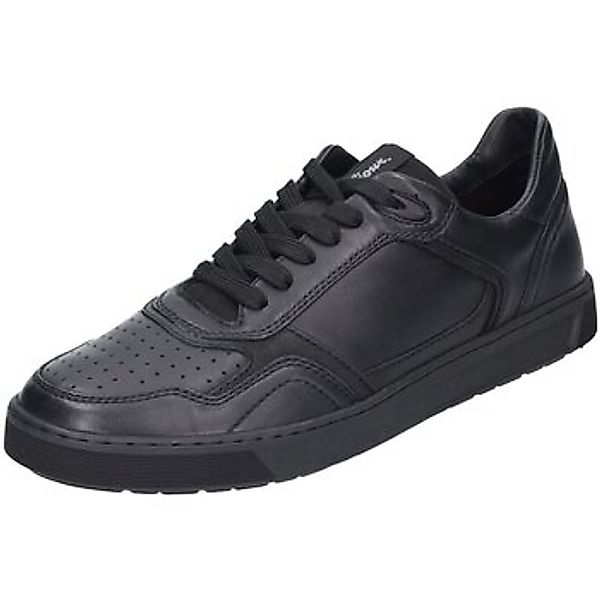 Sioux  Halbschuhe Schnuerschuhe TEDROSO-704 11390 günstig online kaufen