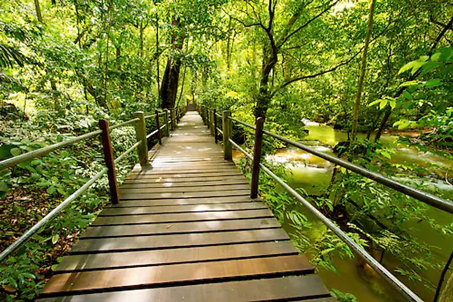 Papermoon Fototapete »Bridge Walk« glatt günstig online kaufen