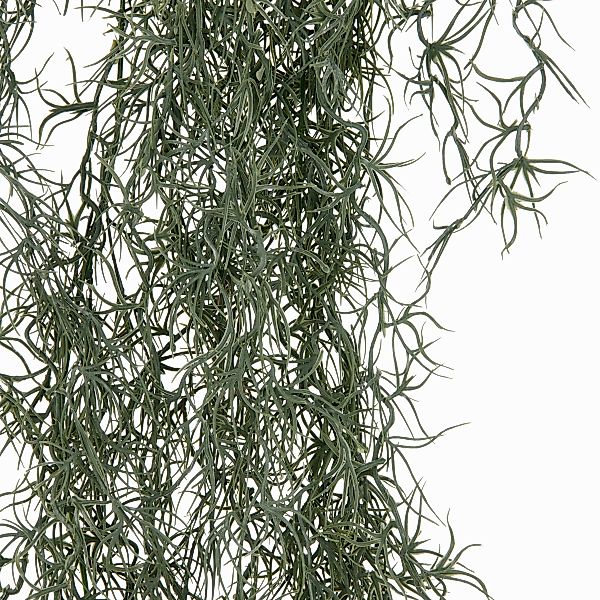 Creativ green Kunstranke "Tillandsia", mit filigranen Ranken günstig online kaufen