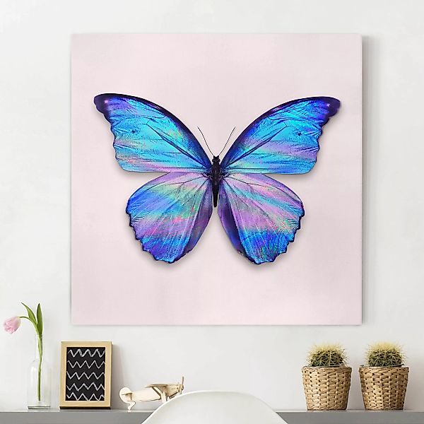 Leinwandbild Tiere - Quadrat Holografischer Schmetterling günstig online kaufen