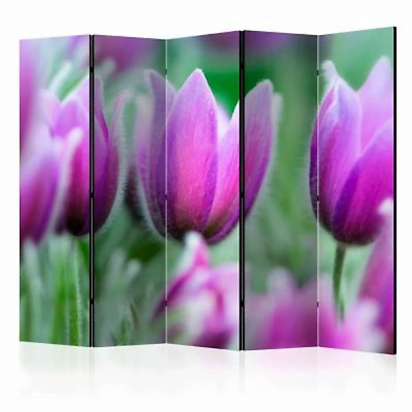 artgeist Paravent Purple spring tulips II [Room Dividers] mehrfarbig Gr. 22 günstig online kaufen