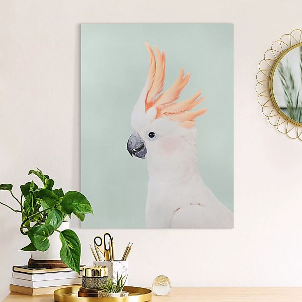 Leinwandbild Kakadu vor Pastellblau günstig online kaufen