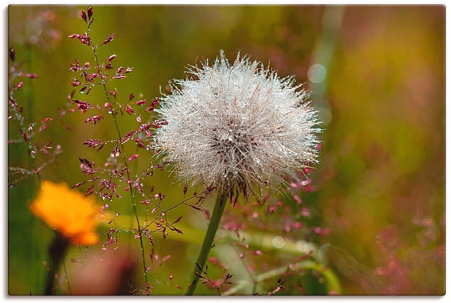 Artland Wandbild "Pusteblume im Blumenfeld", Blumen, (1 St.), als Leinwandb günstig online kaufen