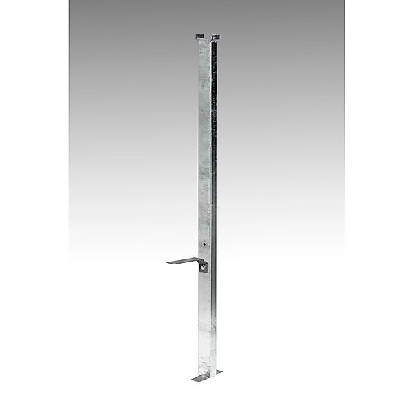 PROREGAL Standrohrbefestigung Für Abfallsammler Mit Deckel Einflügeltür 120 günstig online kaufen