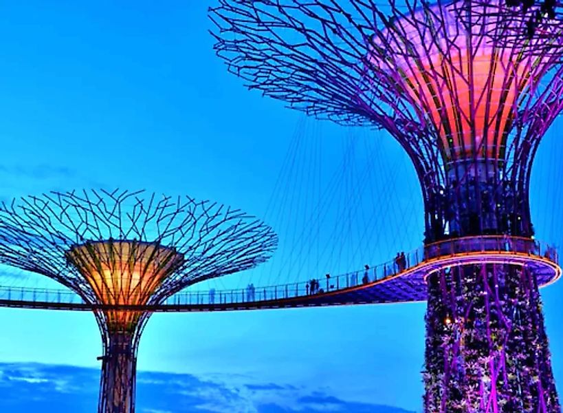 Papermoon Fototapete »Singapore Bay Supertrees« günstig online kaufen