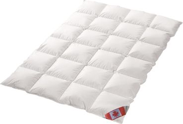 Canada Daunenbettdecke Polaris Premium Übergangsdecke Gänsedaune, günstig online kaufen