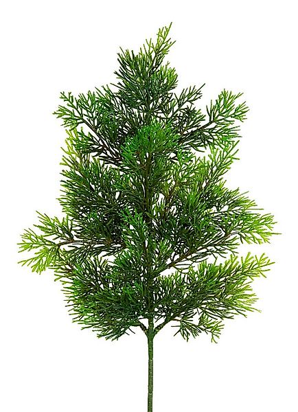 Kunstzweig Zedernzweig Nature ZJ Kunststoff 100% PE Spritzguss künstliche Z günstig online kaufen