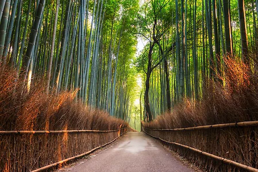 Papermoon Fototapete »Bamboo Grove of Kyoto« glatt günstig online kaufen