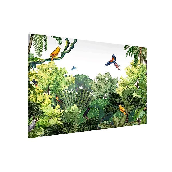 Magnettafel Papageienparade im Dschungel günstig online kaufen