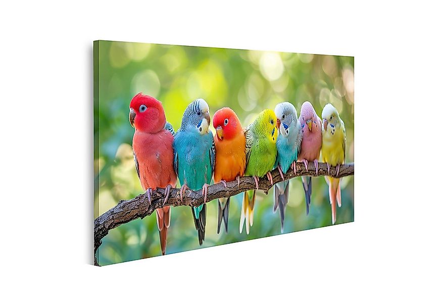islandburner Leinwandbild Bunte Wellensittiche auf einem Ast im Grünen Wand günstig online kaufen