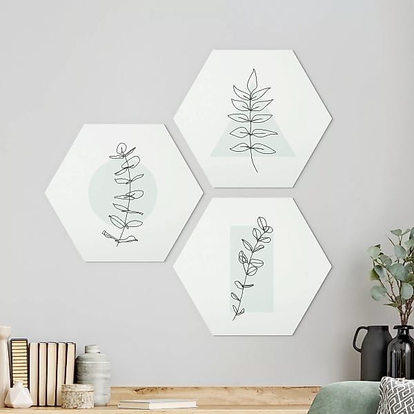 3-teiliges Hexagon-Alu-Dibond Bild Zweig Geometrie Line Art Set günstig online kaufen