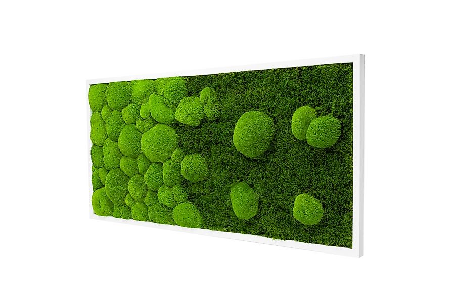 Moos-Design Bilderrahmen Moos Bild River Design günstig online kaufen