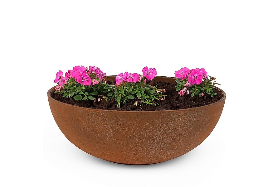 matches21 HOME & HOBBY Blumentopf Runde bauchige 19 cm Pflanzschale für dra günstig online kaufen