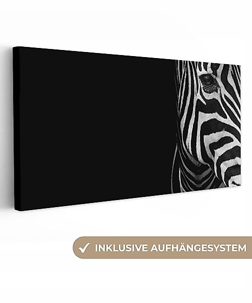 OneMillionCanvasses® Leinwandbild Panorama Tiere - Zebra günstig online kaufen