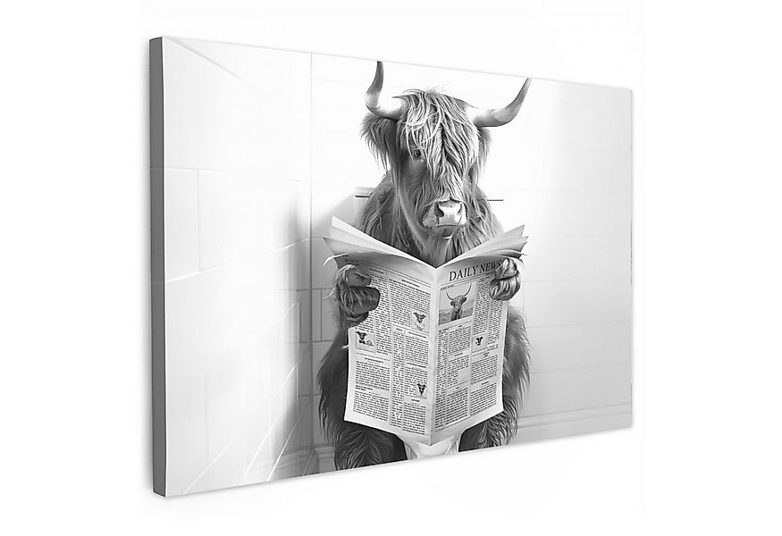 OneMillionCanvasses® Leinwandbild Schottischer Hochländer - Tier - Zeitung günstig online kaufen