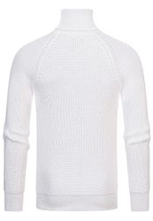 R-NEAL Rollkragenpullover Rollkragen Business Pullover Freizeit günstig online kaufen